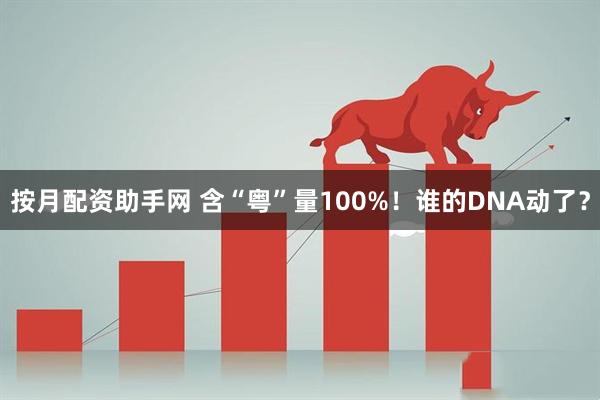 按月配资助手网 含“粤”量100%！谁的DNA动了？